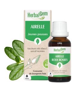 Airelle (Vaccinium V.I.) bourgeon BIO, 30 ml